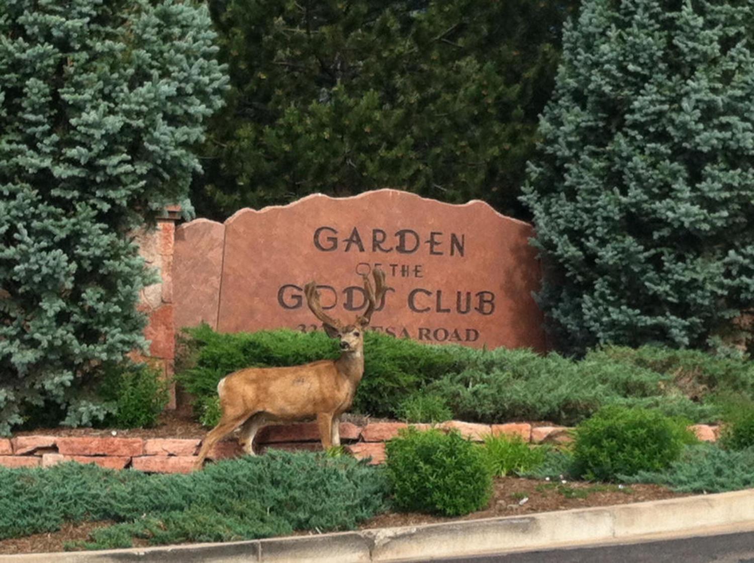 Garden Of The Gods & Club 4* Colorado Springs
